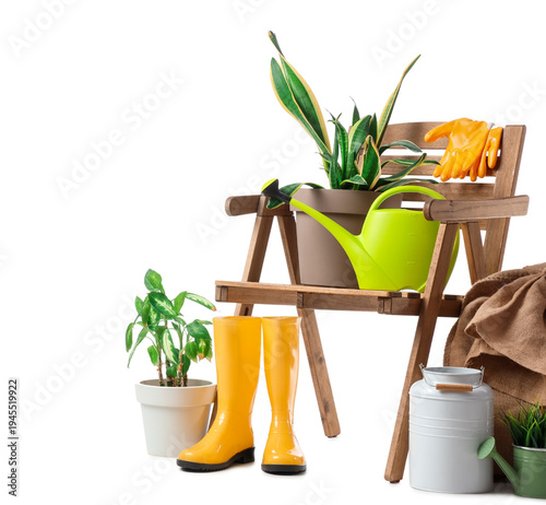 Wooden armchair with plants...