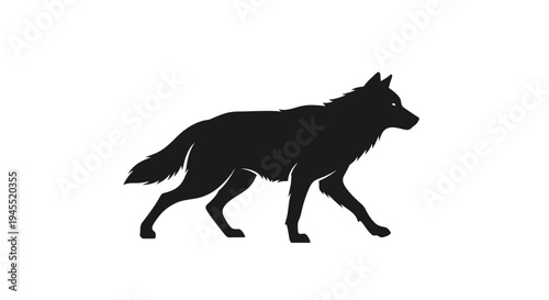 Silhouette of a wolf walking on white background