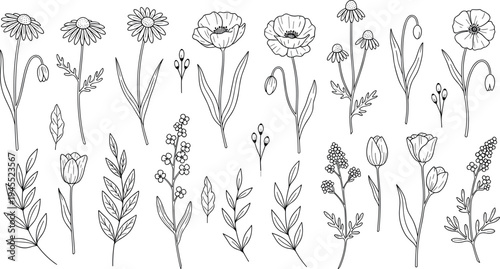 Hand drawn botanical wildflowers and leaves collection with delicate floral stems garden plants and nature line art vector illustration
