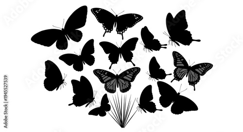 Flock of Black Butterfly Silhouettes on White Background
