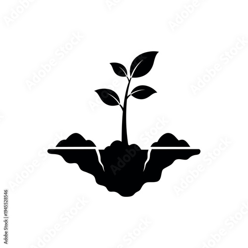 Young plant growing in soil new life concept.