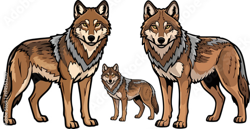 Three Brown Wolves Vector Illustration Set with Detailed Fur and Expressive Eyes, Featuring Two Adults and One Pup, Ideal for Wildlife, Nature, or Animal-Themed Designs