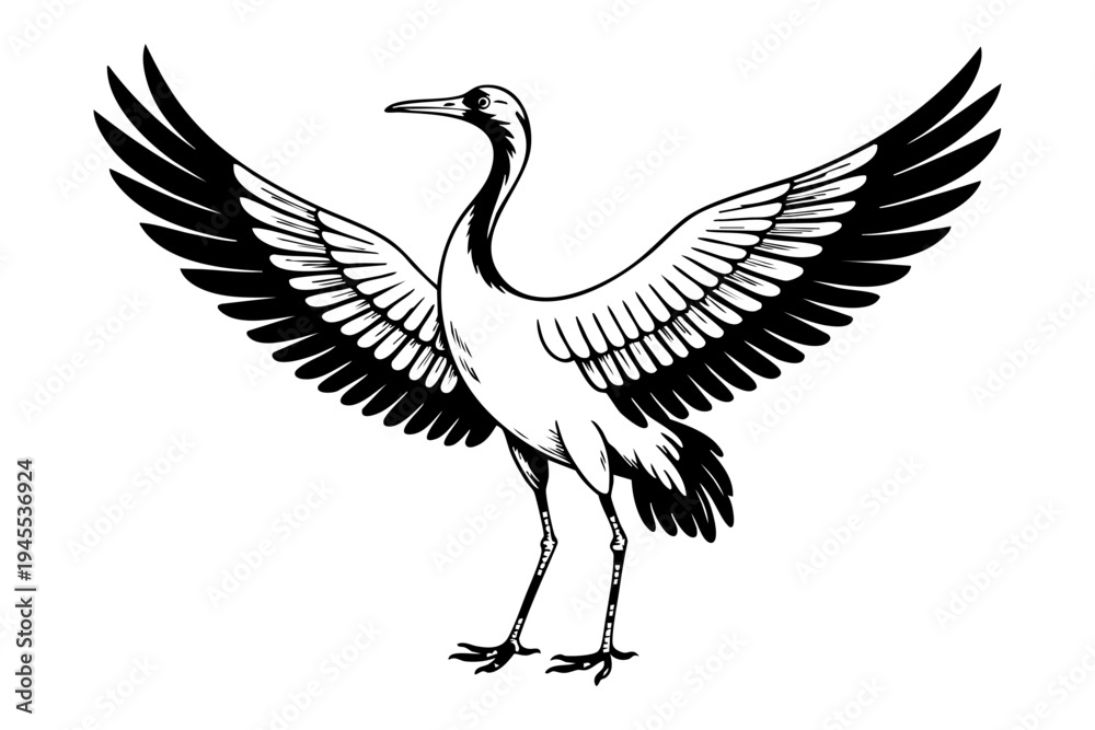 Obraz premium Crane bird vintage engraving illustration black and white drawing