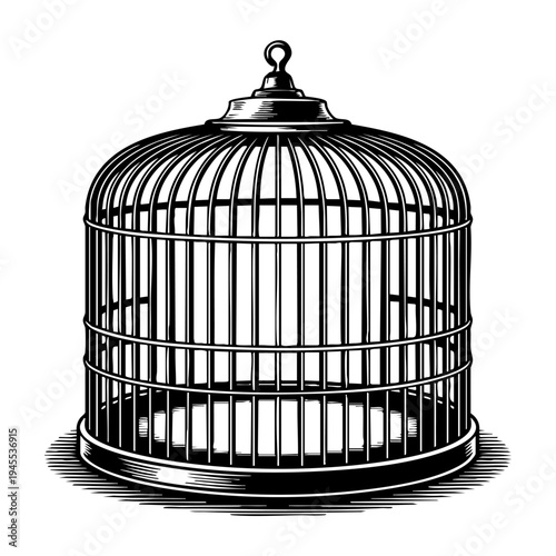 Bird cage vintage engraving illustration black and white drawing