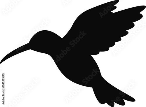 hummingbird silhouette vector