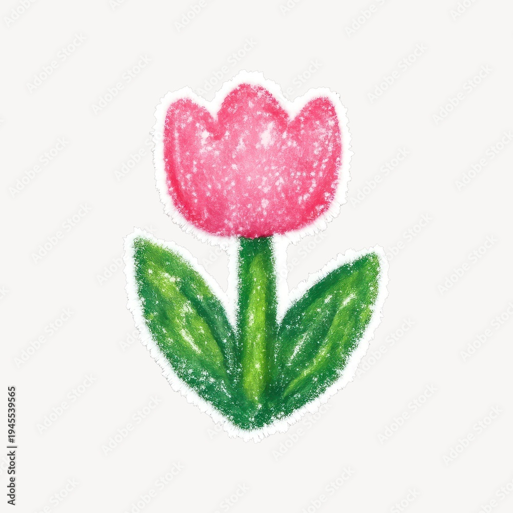 Fototapeta premium Chalk-drawn pink tulip illustration.
