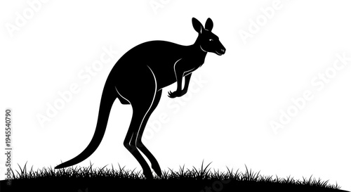 Silhouette of a Kangaroo Standing in Grass.