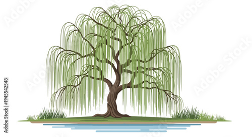 A serene weeping willow tree by water.