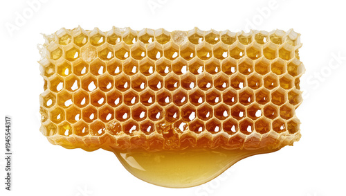 Isolated natural golden honeycomb with delicious sweet honey dripping from the cells