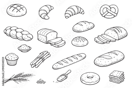 Different types of bread outline. Bread engraving, line art vector illustration. Wheat products, baked goods, bakery, pastry. 