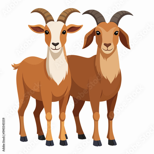 Playful cartoon illustration of two cheerful goats standing side by side on a white backdrop, viewed from a frontal perspective, highlighting bright colors and friendly atmosphere