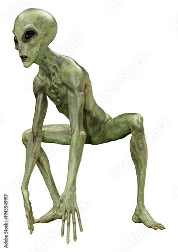 3D Rendering Green Alien on White