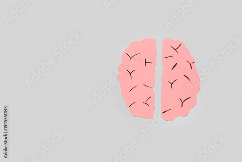 Paper brain hemispheres on ...