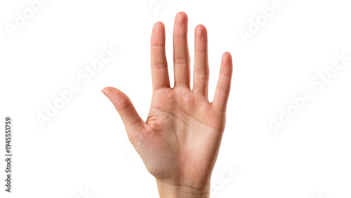 Schilderij op canvas Isolated adult human hand with palm facing front, showing five fingers spread in a common gesture