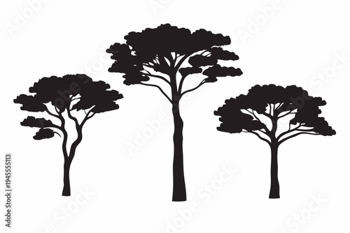 Group of three acacia trees, silhouette, nature, african landscape, a silhouette of three acacia trees of varying heights against a white background, represents nature, landscapes, and iconic