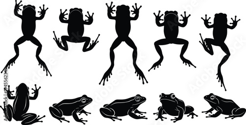 Frog silhouettes collection with jumping and sitting poses, amphibian animal black vector illustration isolated on white background