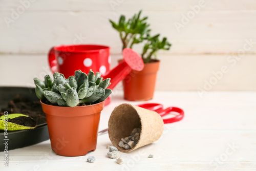 Plant and gardening tools o...