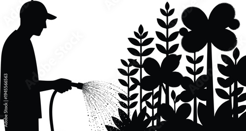 Gardener watering garden plants with hose silhouette, man caring for blooming flowers and foliage in backyard garden, outdoor gardening activity illustration isolated background