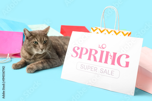 Cute cat, shopping bags and...