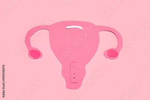 Paper uterus on pink backgr...