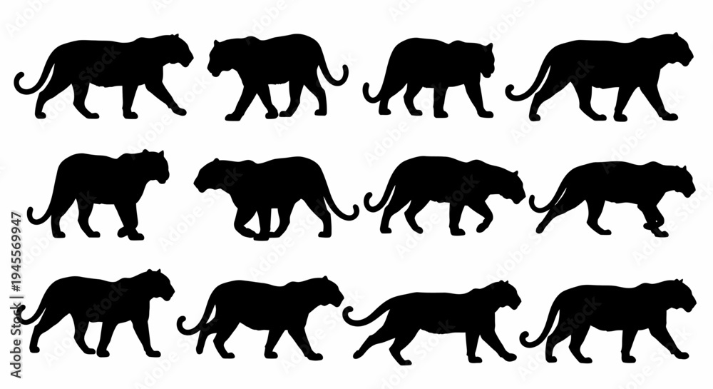 Obraz premium Twelve Striking Tiger Silhouettes in Diverse Walking Poses, Ideal for Vector Graphics, Animal Illustrations, and Wildlife-Themed Design Assets