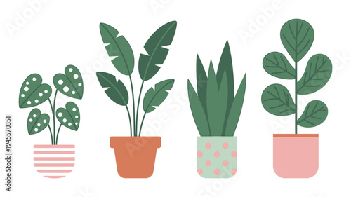 Four cartoon houseplants in colorful pots on white background