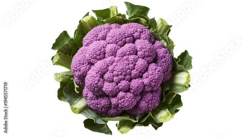 Isolated fresh purple cauliflower vegetable with green leaves, healthy organic ingredient for cooking