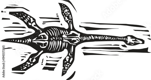 Woodcut style image of a Plesiosaurus Fossil