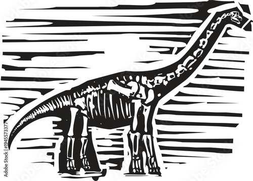 Woodcut style image of a Apatosaurus Fossil