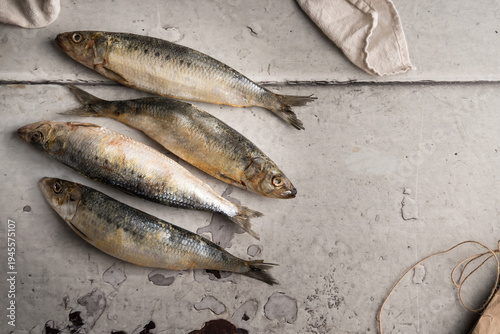 Fresh Whole Sardines on Rustic  Surface, Raw Seafood Ingredient