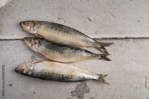 Three Fresh Raw Sardines on Light Stone Background, Minimal Seafood Composition