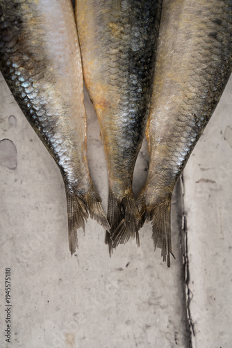 Close Up of Fresh Sardine Tails, Raw Seafood Texture Detail
