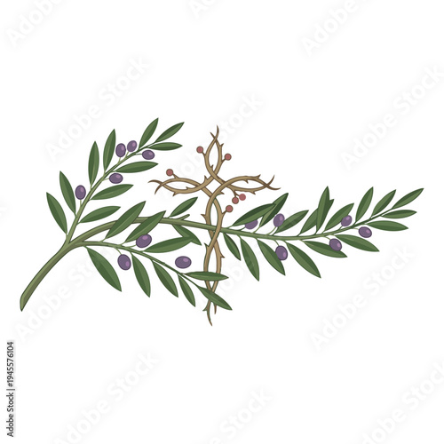 Cross Intertwined with Olive Branches Vector