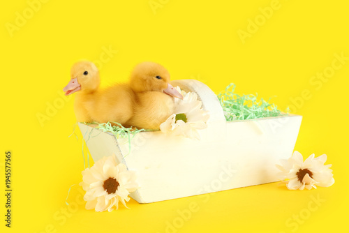 Cute ducklings in basket an...