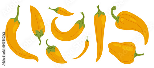 Yellow chili peppers in different shapes. Spicy vegetable illustration isolated on white background for food design and cooking themes.