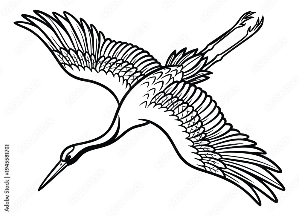 Obraz premium Engraving illustration of crane bird in flight depicting elegant wings spread for vintage wildlife design