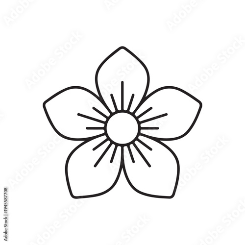 vector illustration of a flower