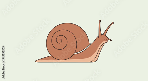 A snail with a large brown shell moves slowly on a surface.