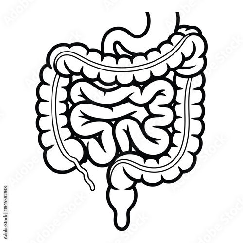 Professional Vector Icon Set of Essential Construction Tools and Heavy Machinery
