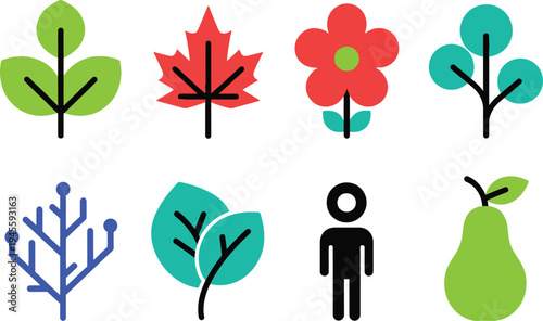 A colorful illustration of various leaves flowers a person and a pear