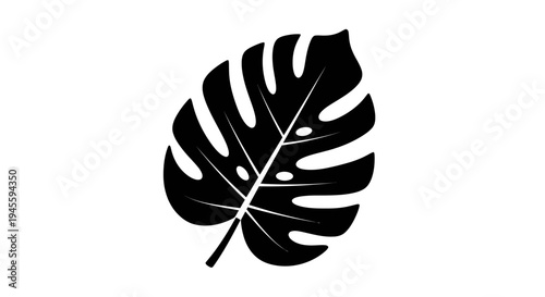 Monstera Leaf Silhouette on White Background.