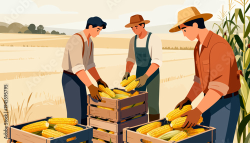 Three farmers harvest corn in a golden field. They bend, carefully placing ears into wooden crates. Sunlight glows warmly over the tall stalks. Their teamwork shows dedication to the land