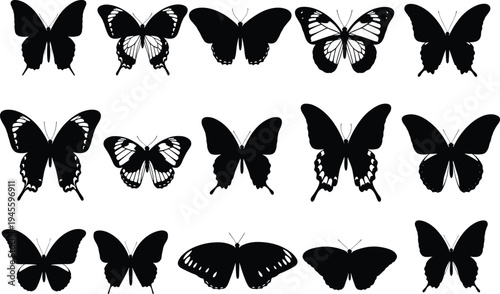 Butterfly silhouette collection with diverse wing shapes and patterns, arranged in rows, showing biodiversity, entomology, nature, wildlife, and artistic inspiration themes