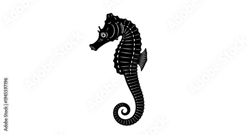 Elegant Black Seahorse Isolated on White Background, Marine Life.
