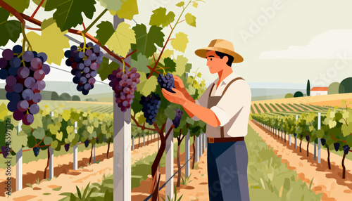 Farmer inspects ripe grapes in a sunlit vineyard. He wears a straw hat and suspenders. Rows of vines stretch into the distance. Purple grapes hang heavy on green stalks