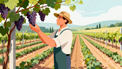 Farmer gently touches ripe purple grapes in vineyard. Rows stretch toward distant hills under soft sky. Sunlit leaves frame the scene with warmth and care
