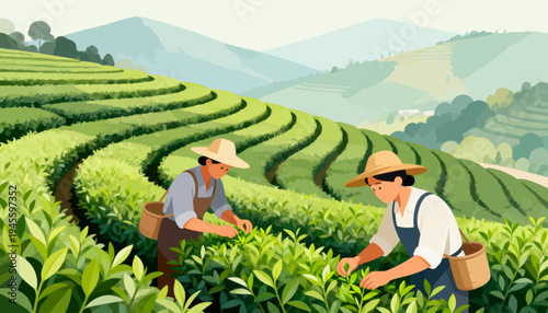 Two workers harvest tea leaves in a rolling field. They wear hats and aprons, bending low in the green rows. Their baskets hold freshly picked leaves, showing care and focus