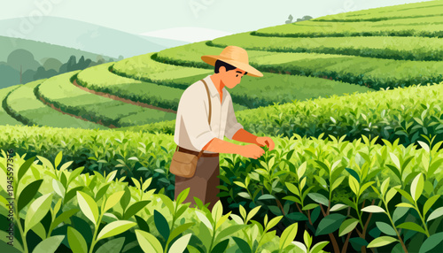 Farmer harvests tea leaves in lush green fields. He bends gently, careful to pick only the finest buds. Soft sunlight highlights his calm, focused expression. Rolling hills stretch behind him