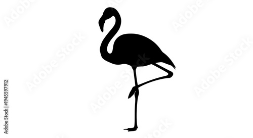 Elegant Flamingo Silhouette Standing Gracefully on One Leg.