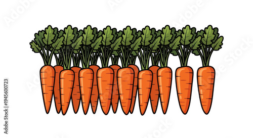 Fresh Orange Carrots with Green Tops, Vegetable Harvest, Healthy Food